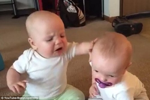 双胞胎女婴争夺奶嘴 