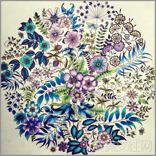 《秘密花园》绘图：绿+蓝+粉紫