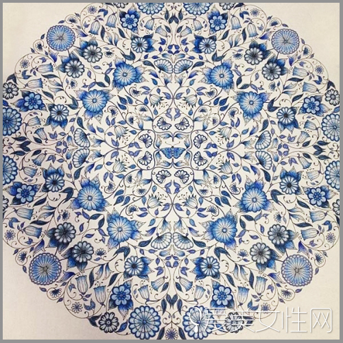 《秘密花园》绘图：白+蓝+黑