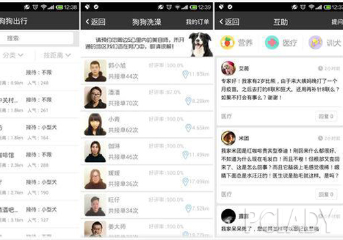 “一起长大”狗粮捐赠圆满收官 狗狗去哪儿网友爱心接力