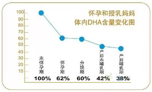 增补DHA 抓住孕晚期和哺乳期才华让宝宝更智慧