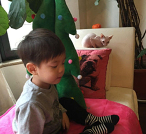 霍思燕晒儿子和猫照 孩子与宠物猫相处之道