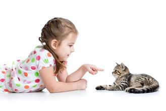 霍思燕晒儿子和猫照 孩子与宠物猫相处之道