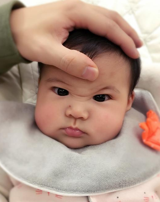 咘咘的表情还真挺像愤怒的小鸟的