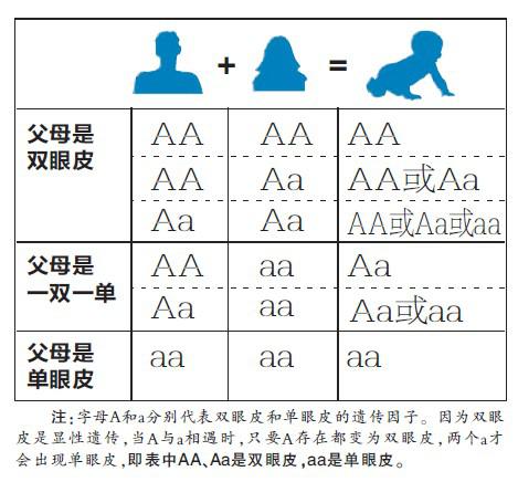 张庭回应女儿