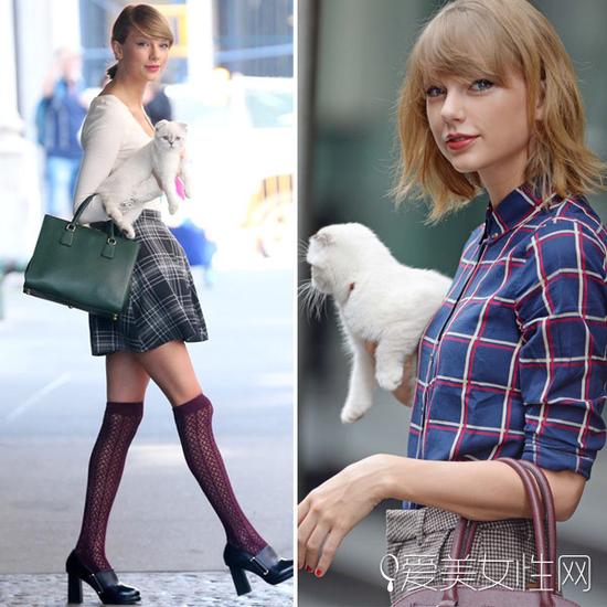 Taylor Swift带萌宠出街