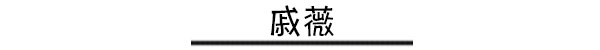 靠衣品抢占头条 时尚圈混进一批时髦icon