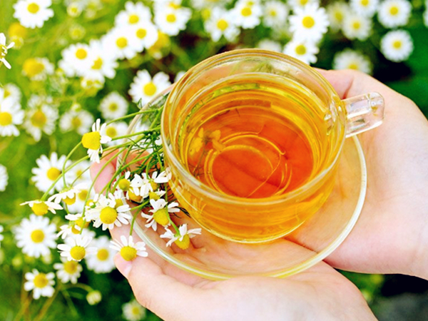 菊花枸杞茶的功效与作用