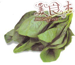 适合春季吃的五种食物dI.jpg