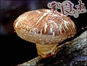 七种“香”菜果助你消疲倦Kd.jpg