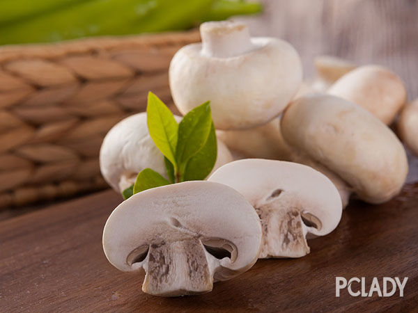 蘑菇的种类 常见食用蘑菇简介