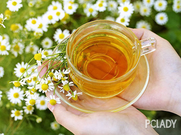 菊花茶功效多 这五类人千万别喝