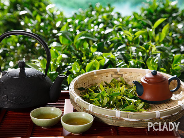 铁观音茶功效与作用