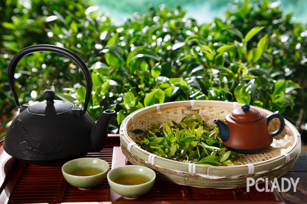 什么是绿茶？品种最多的茶类