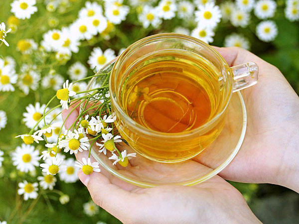 苹果花茶搭配及其功效介绍