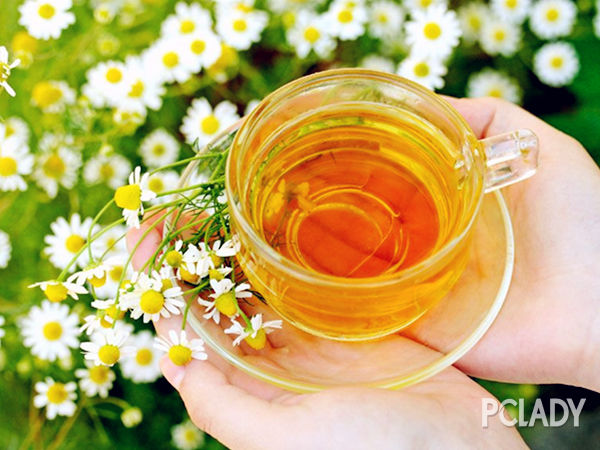 黄芪枸杞菊花茶一年四季都可以喝吗？