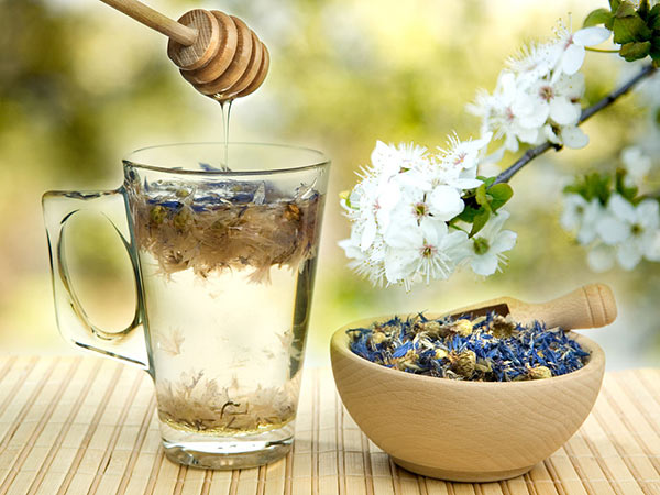 苦丁茶的功能与浸染根基                                                          先容