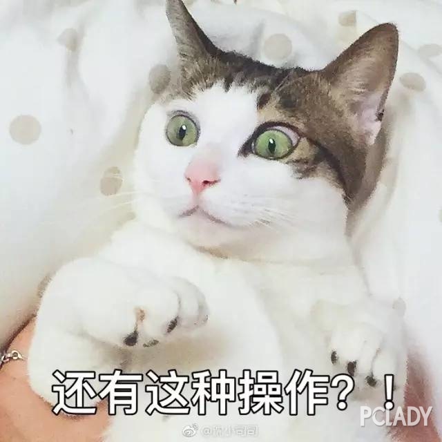 为什么要谈恋爱？是饭不好吃还是猫猫狗狗不好吸？