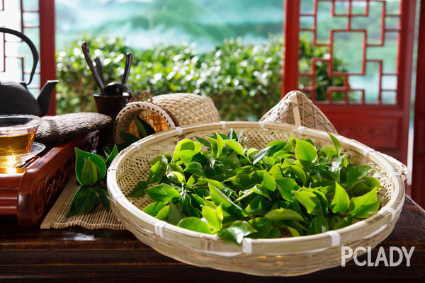 绿茶有哪些？八大著名品种