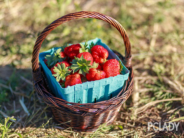 草莓的营养价值和功效